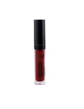 Isabelle dupant velvet matte lip crem 621