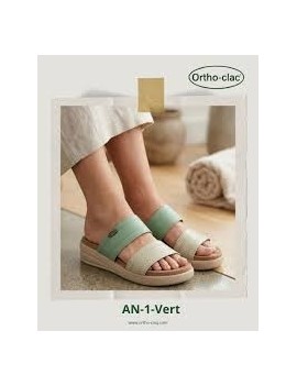 Sti sabot AP 017 HIVER